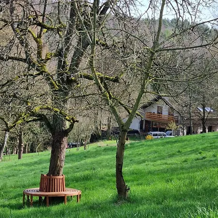 Am Kirchberg Brombachtal