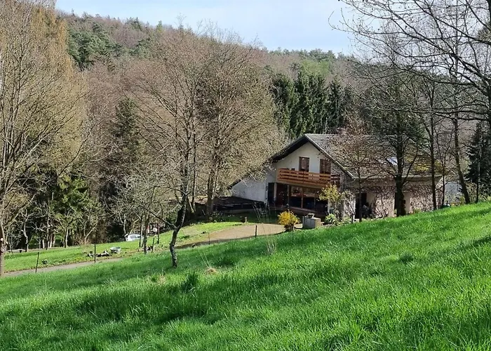 Apartment Am Kirchberg *